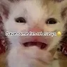 Littlerivy